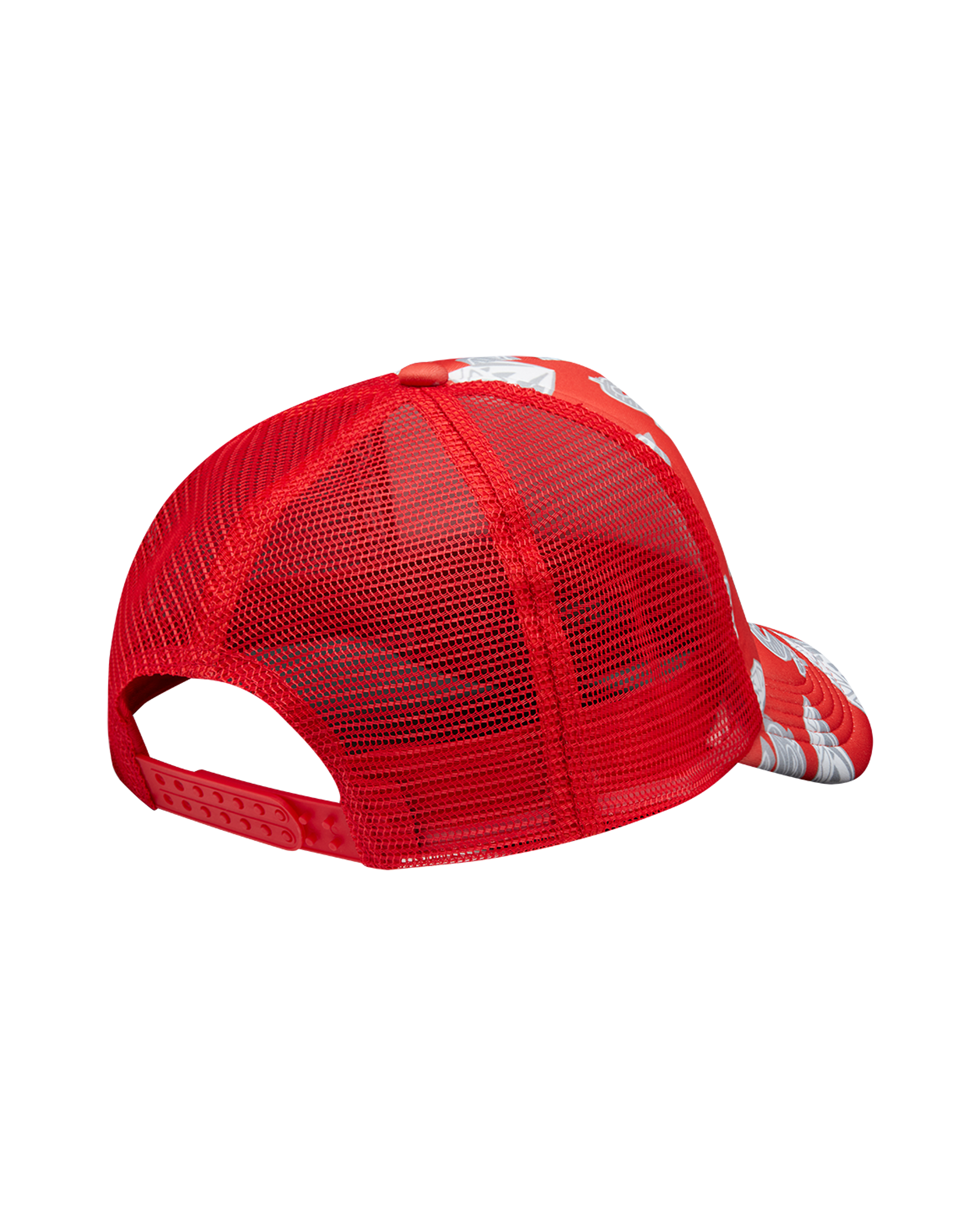 Diamonds & Dollars Trucker Cap - Image 2