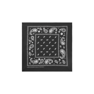 Flying B Paisley Bandana