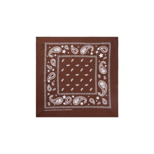 Flying B Paisley Bandana