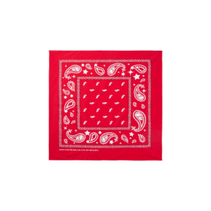 Flying B Paisley Bandana