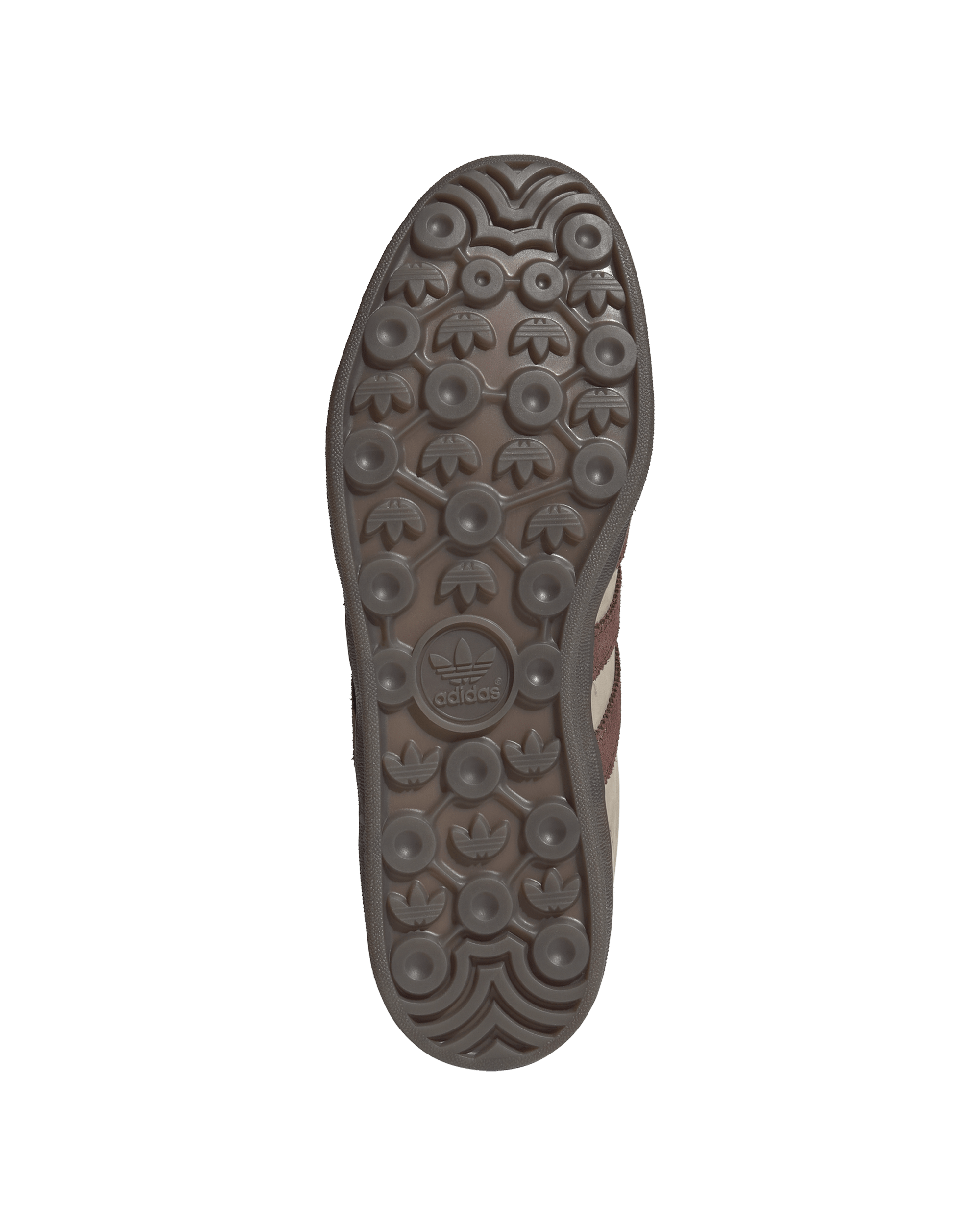 Gazelle Indoor - Image 4