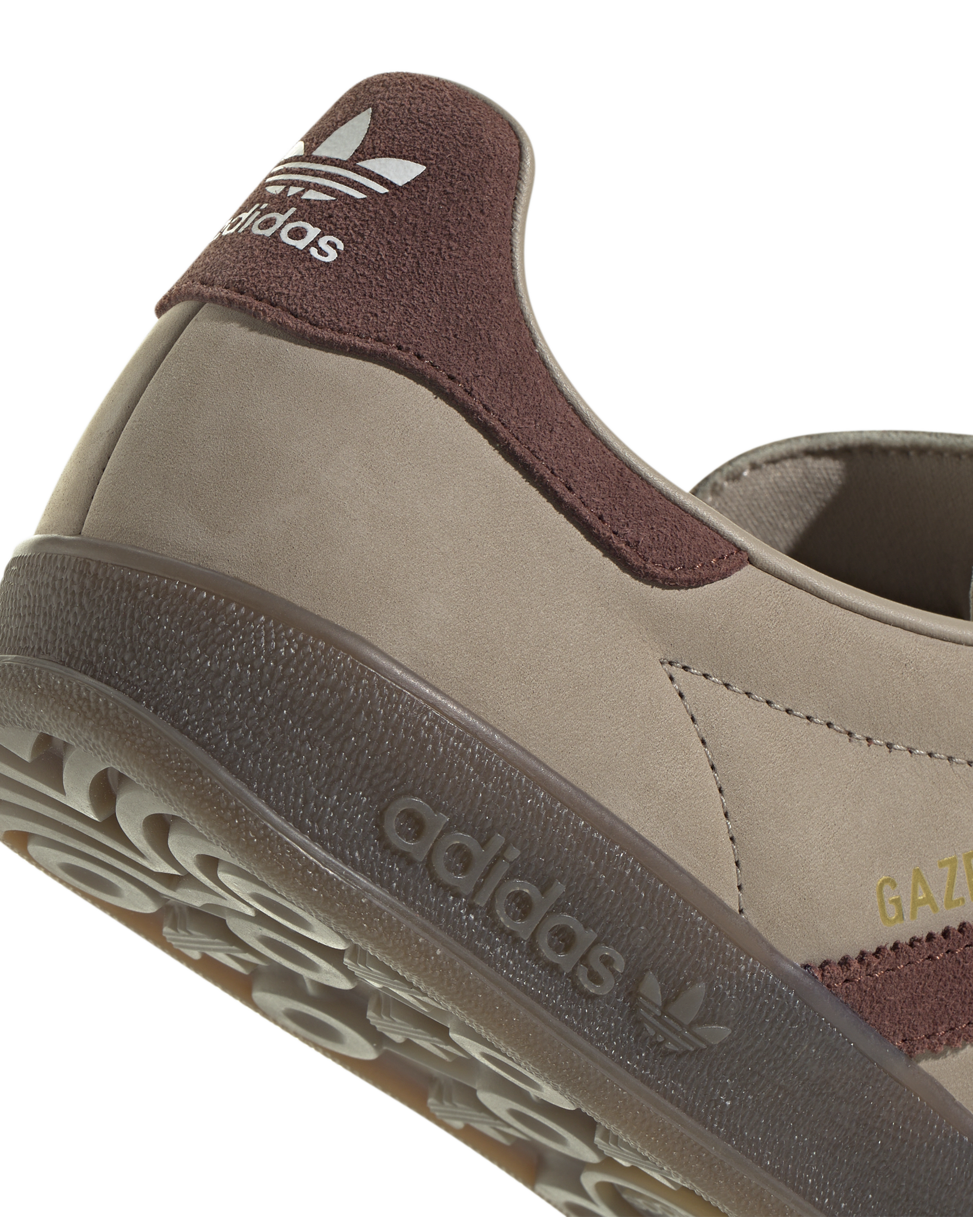 Gazelle Indoor - Image 6