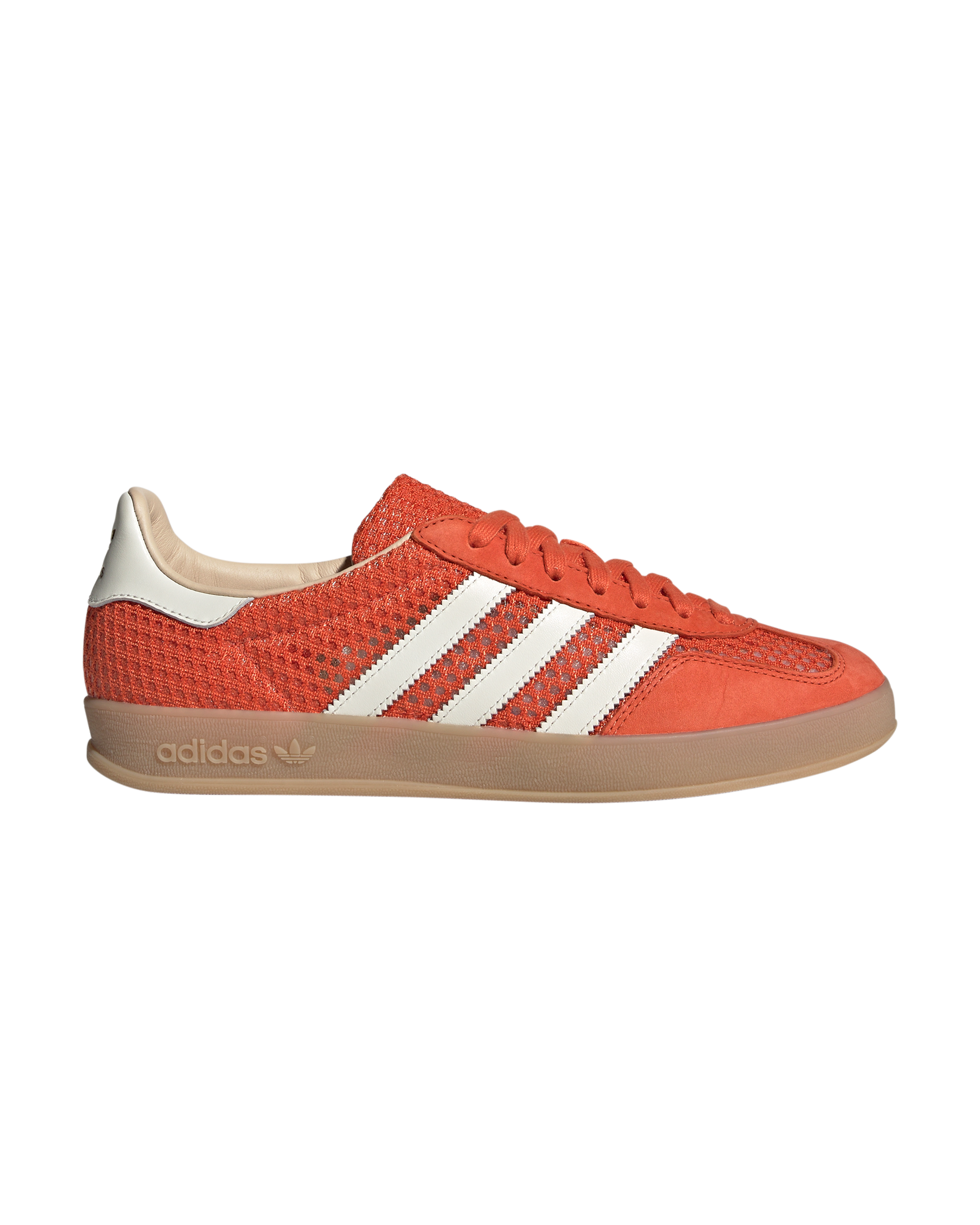 Gazelle Indoor