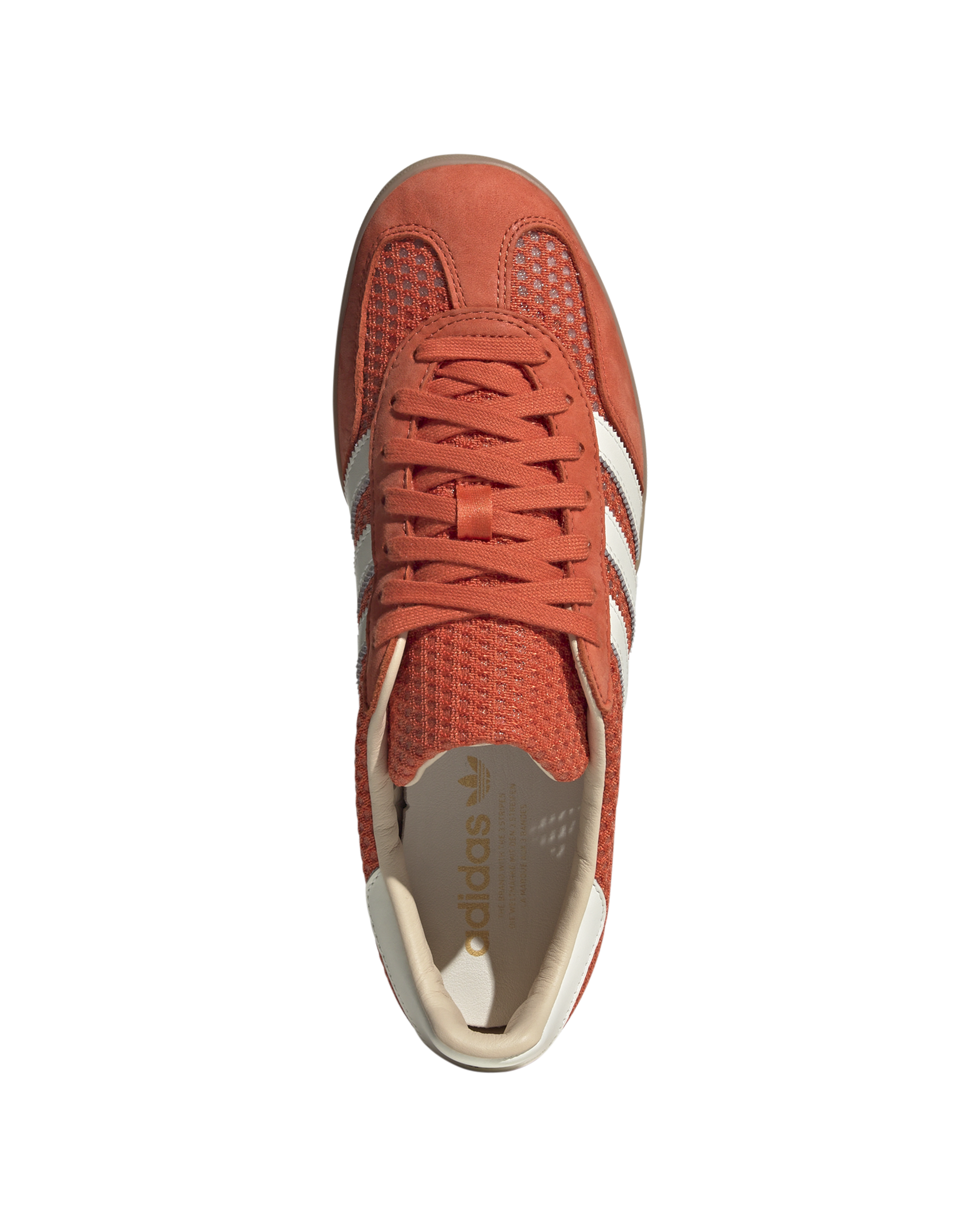 Gazelle Indoor - Image 3