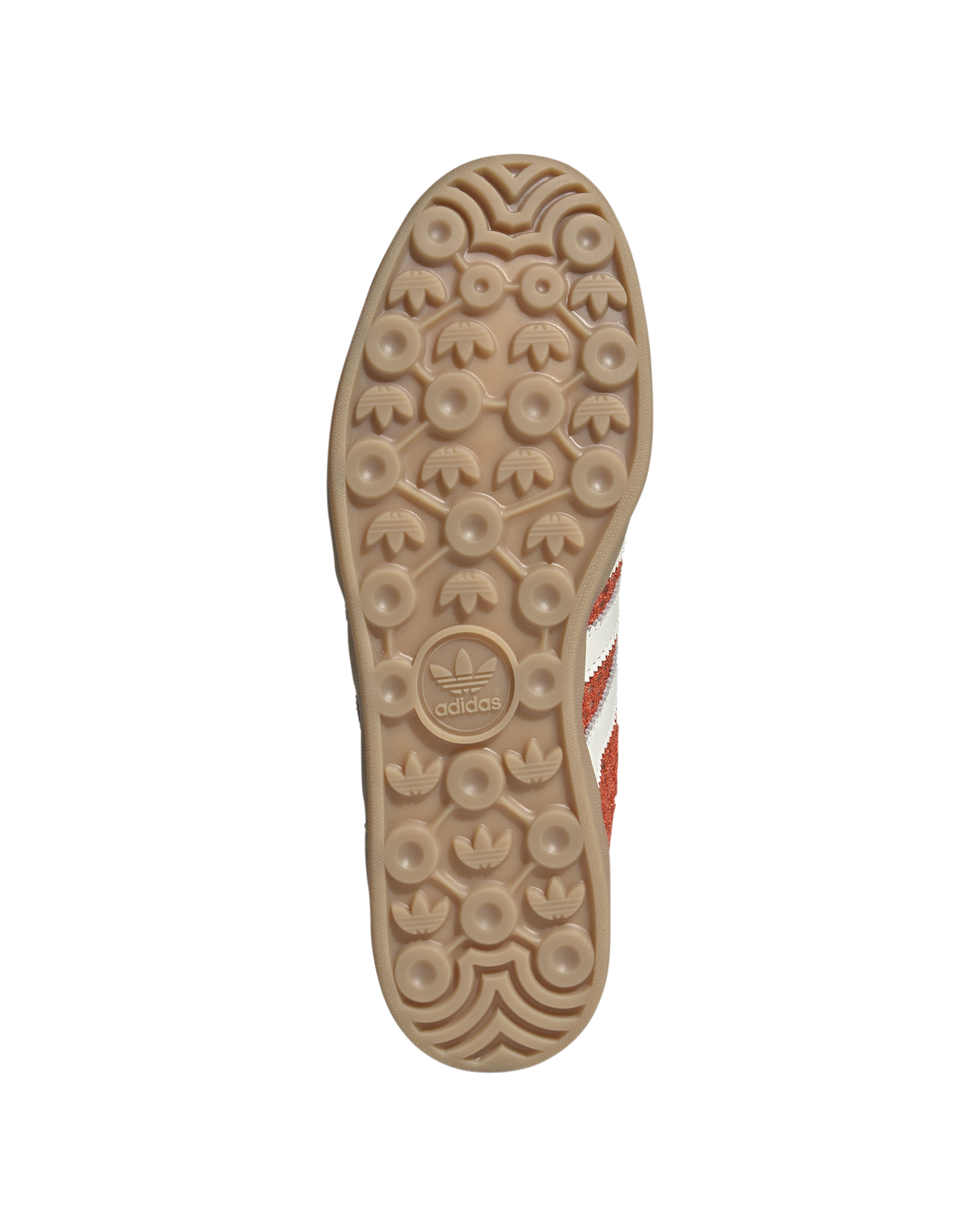 Gazelle Indoor - Image 4