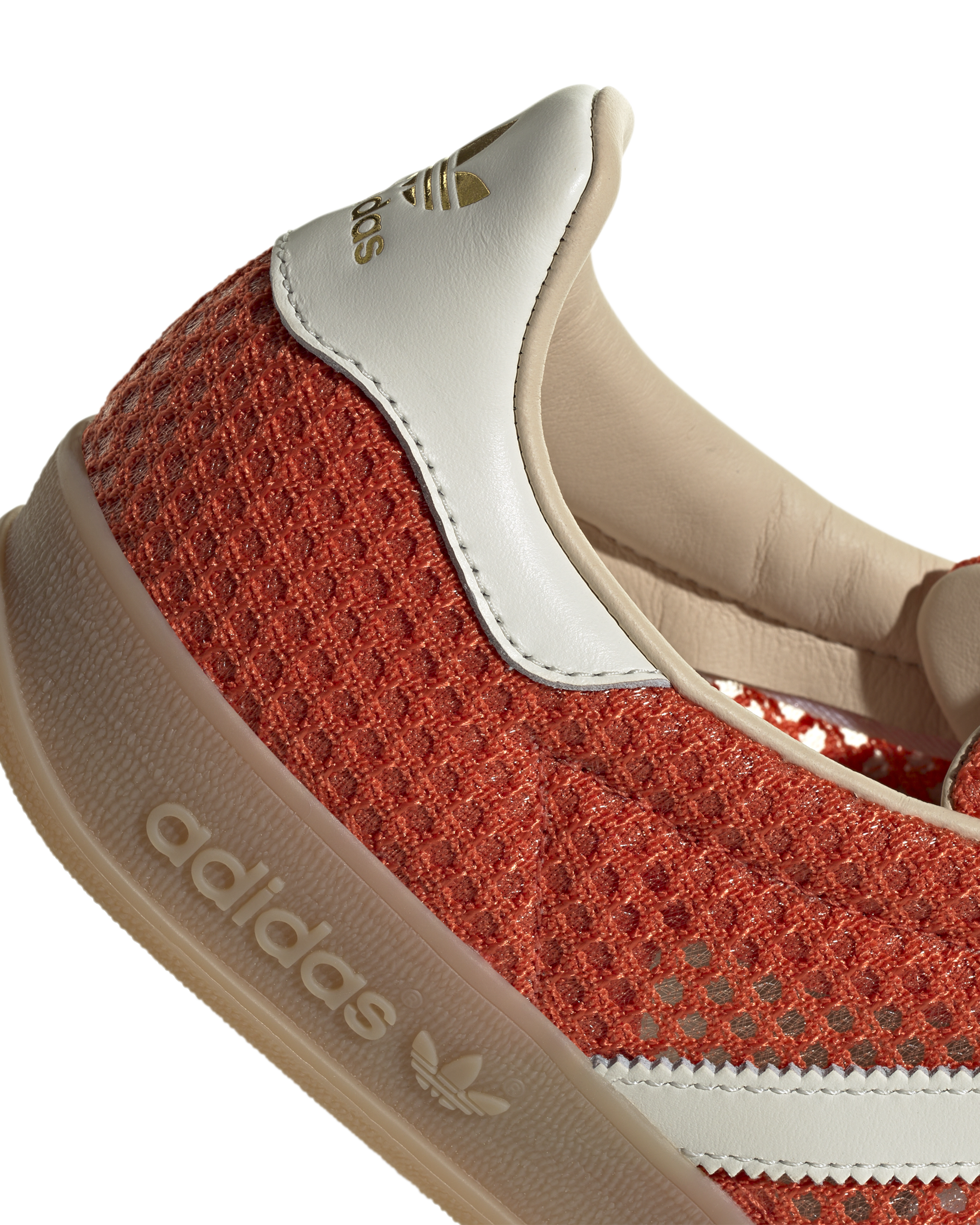 Gazelle Indoor - Image 6